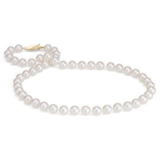 Classic Akoya Cultured Pearl Strand Necklace in 18k Yellow Gold (8.0-8.5mm)